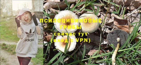 индика Беломорск
