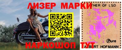 прущие грибы Заволжье