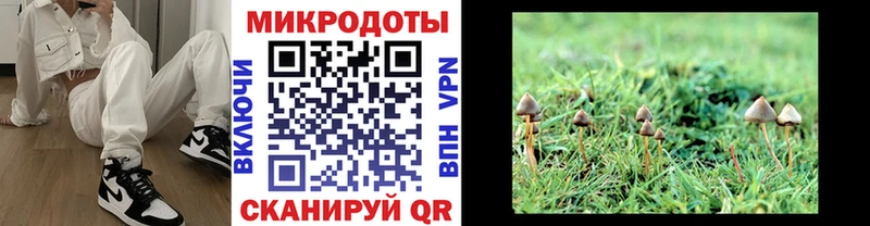 это формула  MEGA ТОР  Первоуральск  Галлюциногенные грибы Psilocybine cubensis 