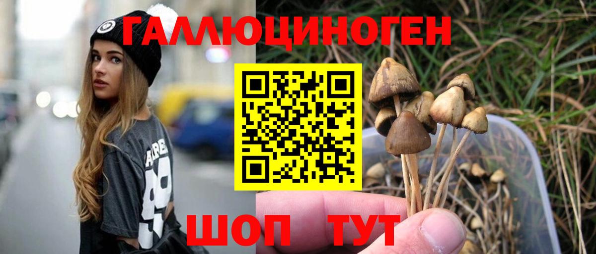 Галлюциногенные грибы GOLDEN TEACHER  Псилоцибиновые грибы Cubensis  Вход с VPN  Первоуральск 